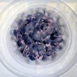 uma-quadri-orbs-ribolla