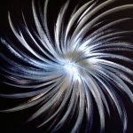 uma-quadri-soffioni-argento