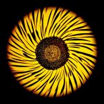 uma-quadri-soffioni3