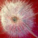 uma-quadri-soffioni5